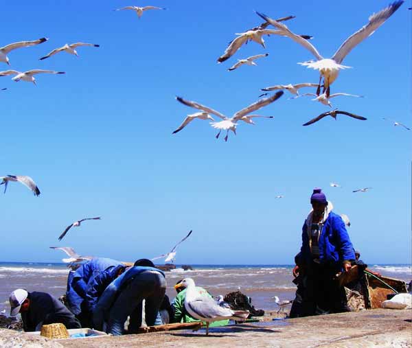 poblado-pescador-essaouira-marruecos-viaje-emocional-gaia-falco